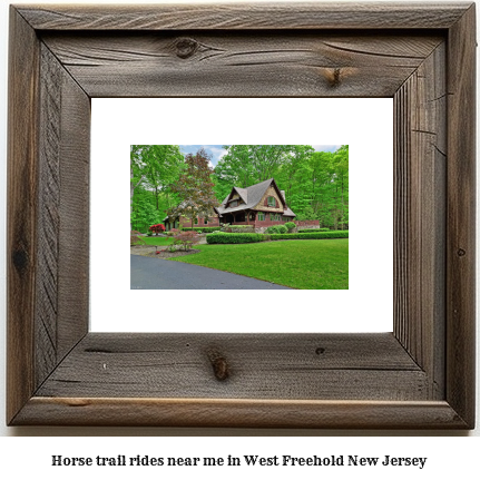 horse trail rides near me in West Freehold, New Jersey